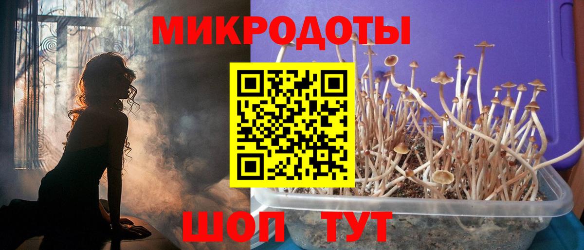Псилоцибиновые грибы Cubensis Рыбинск