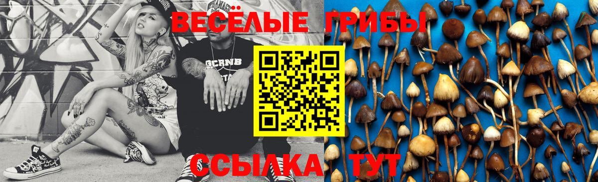 Галлюциногенные грибы Psilocybe  Вход с VPN  Рыбинск 